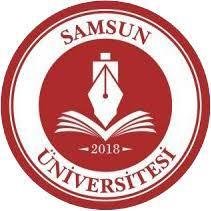 Samsun University